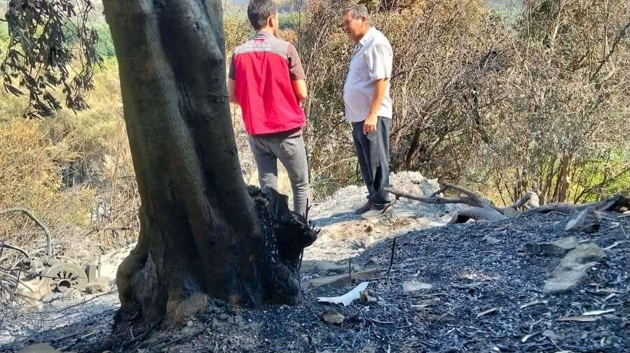Muğla’da Yangından Etkilenen Üreticiler İçin Hasar Tespit Çalışmaları Sürüyor 1